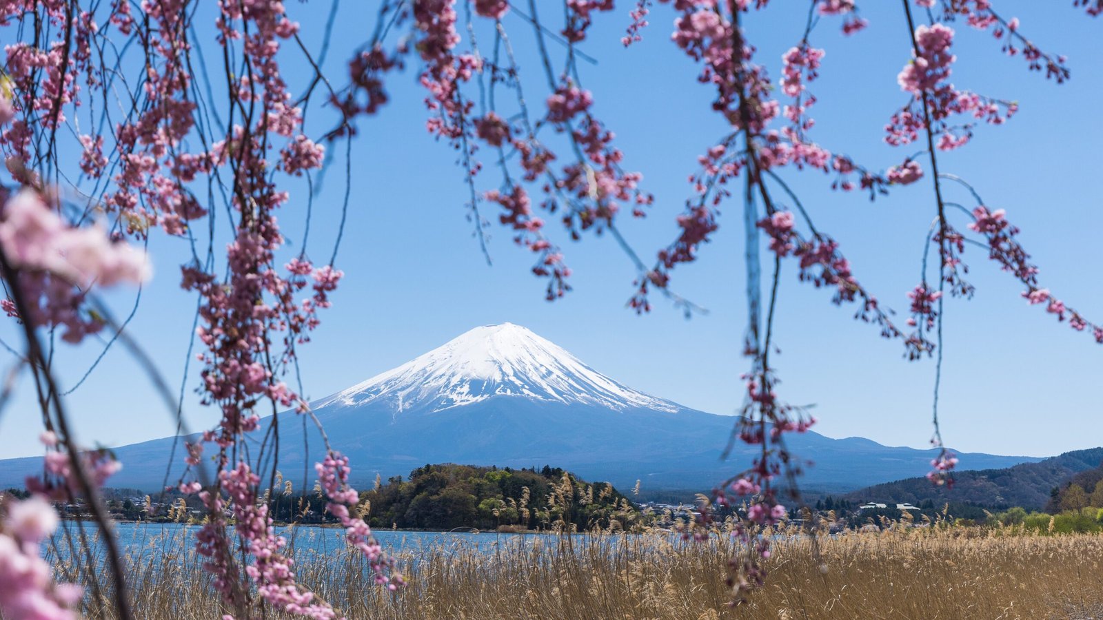 Best Place to See Mount Fuji